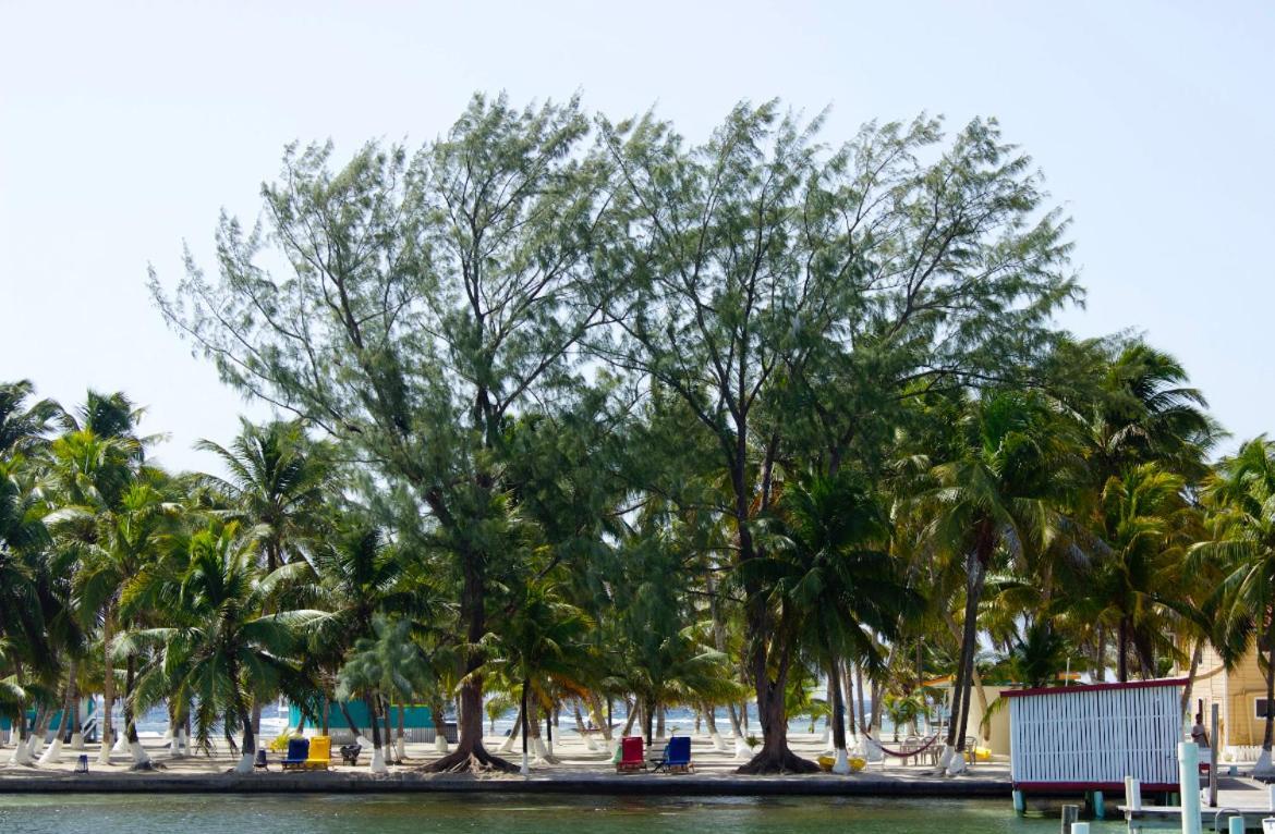 Blue Marlin Beach Resort Dangriga Exterior foto