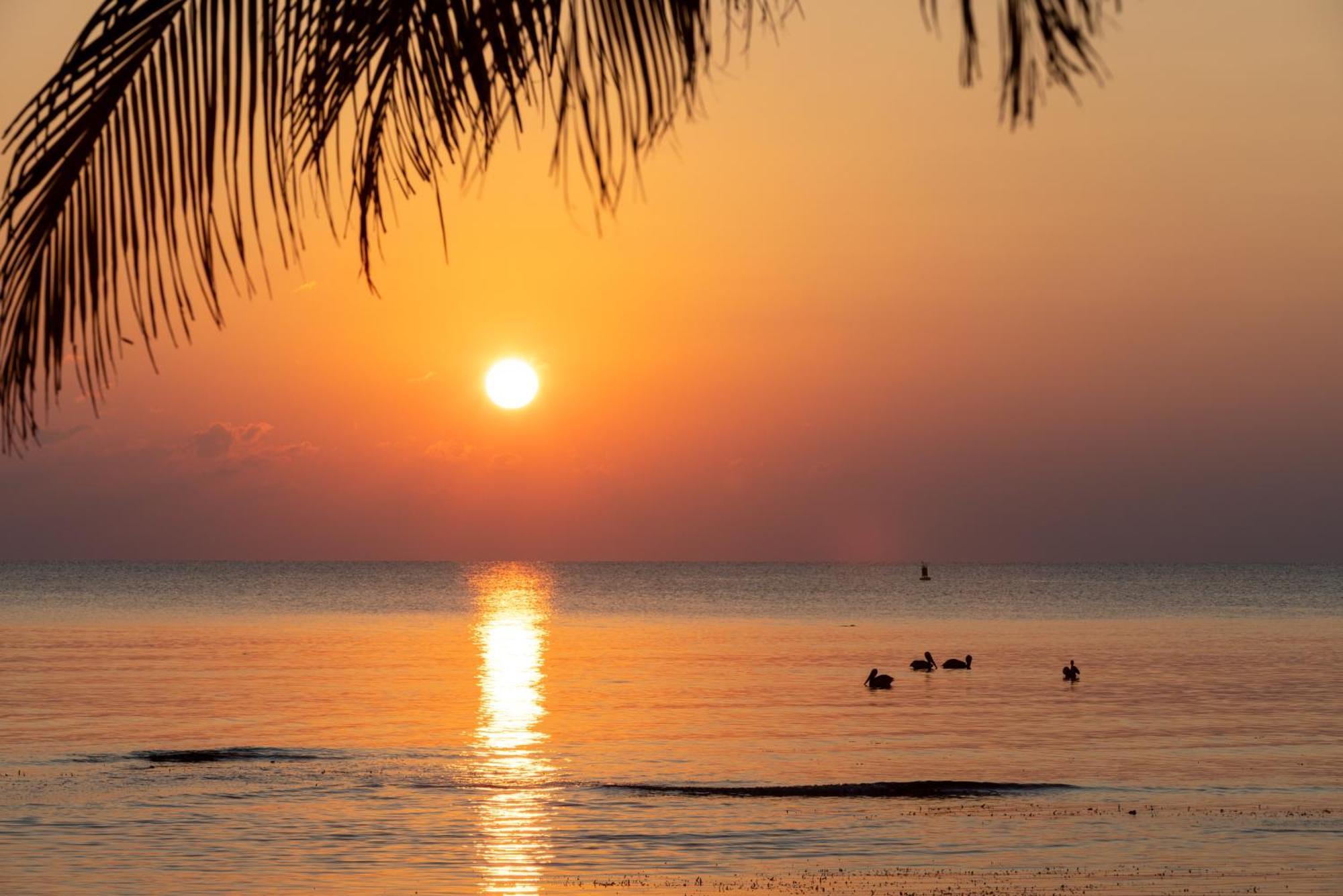 Blue Marlin Beach Resort Dangriga Exterior foto
